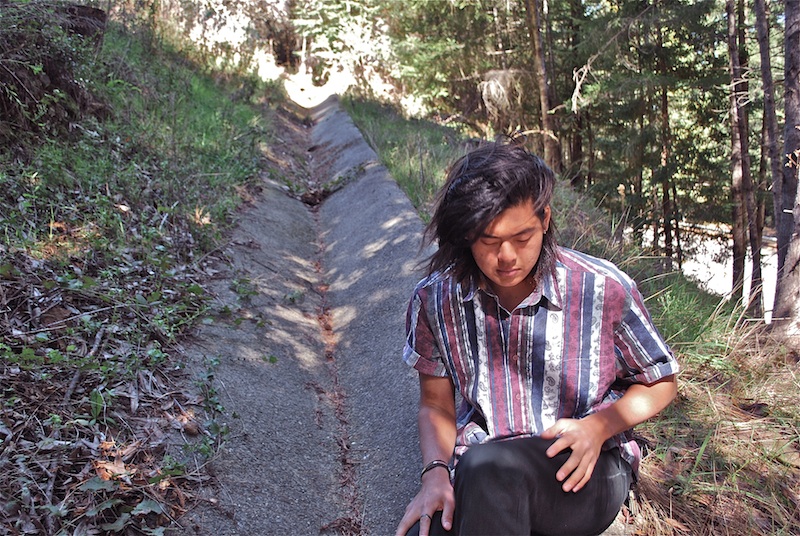 GRMLN forest